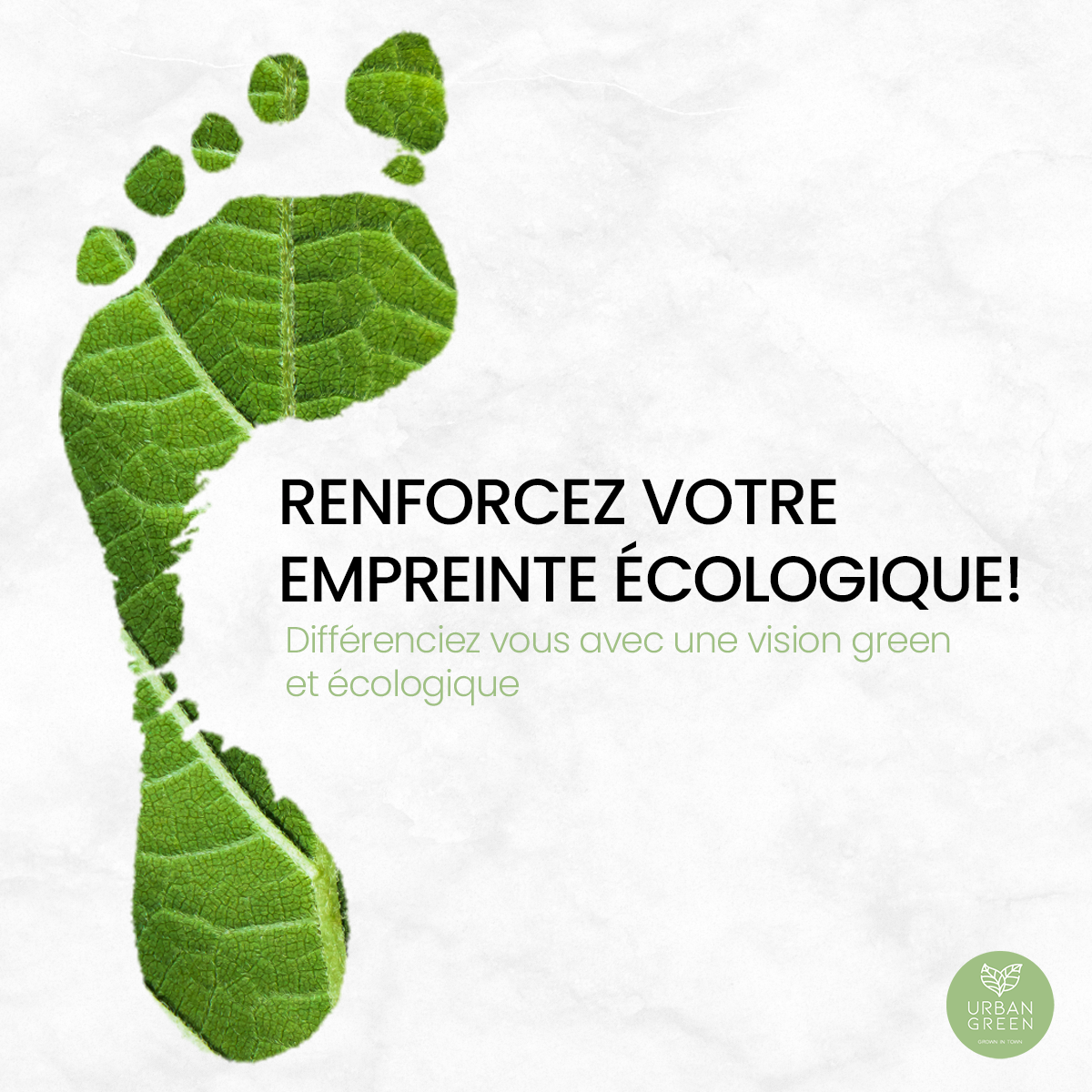 Transition digitale