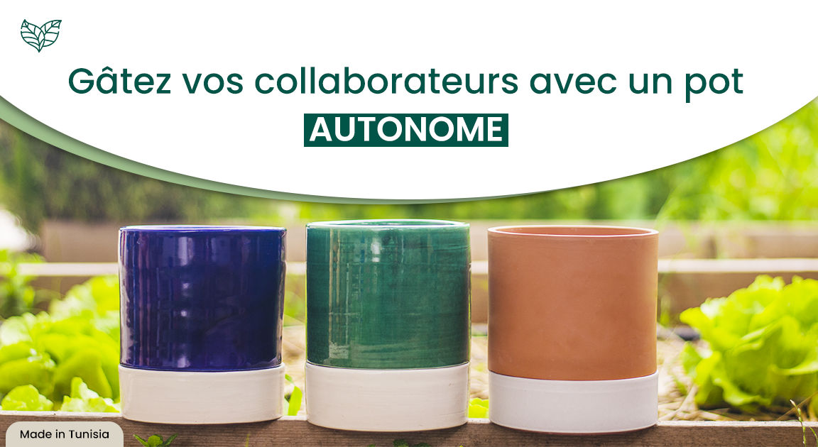 Pot à eau
