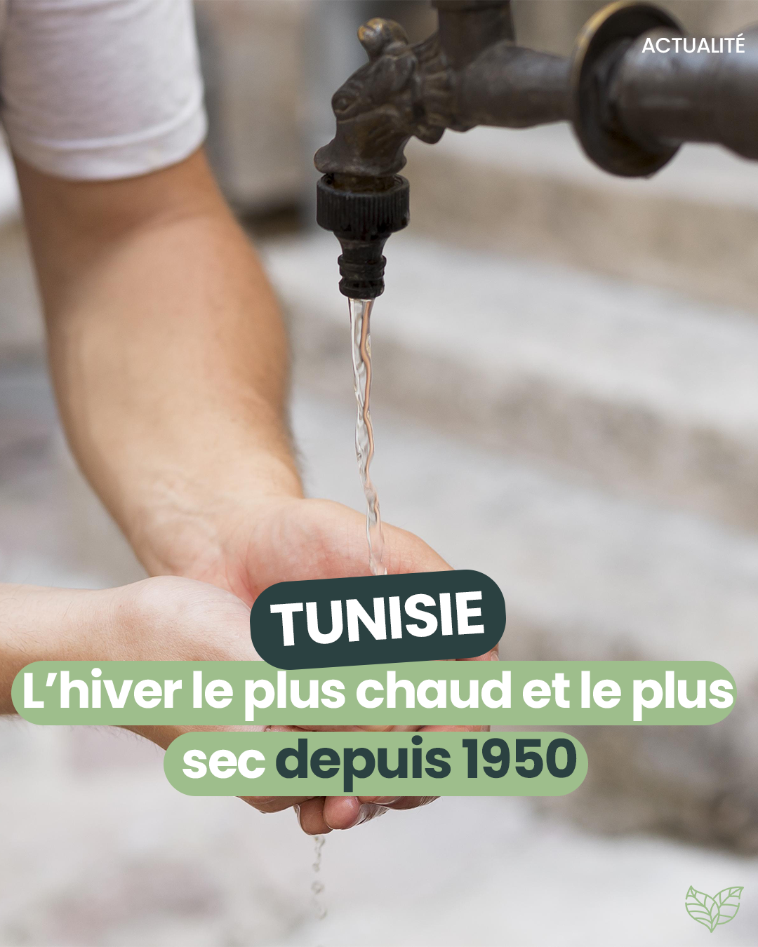 Sécheresse Tunisie
