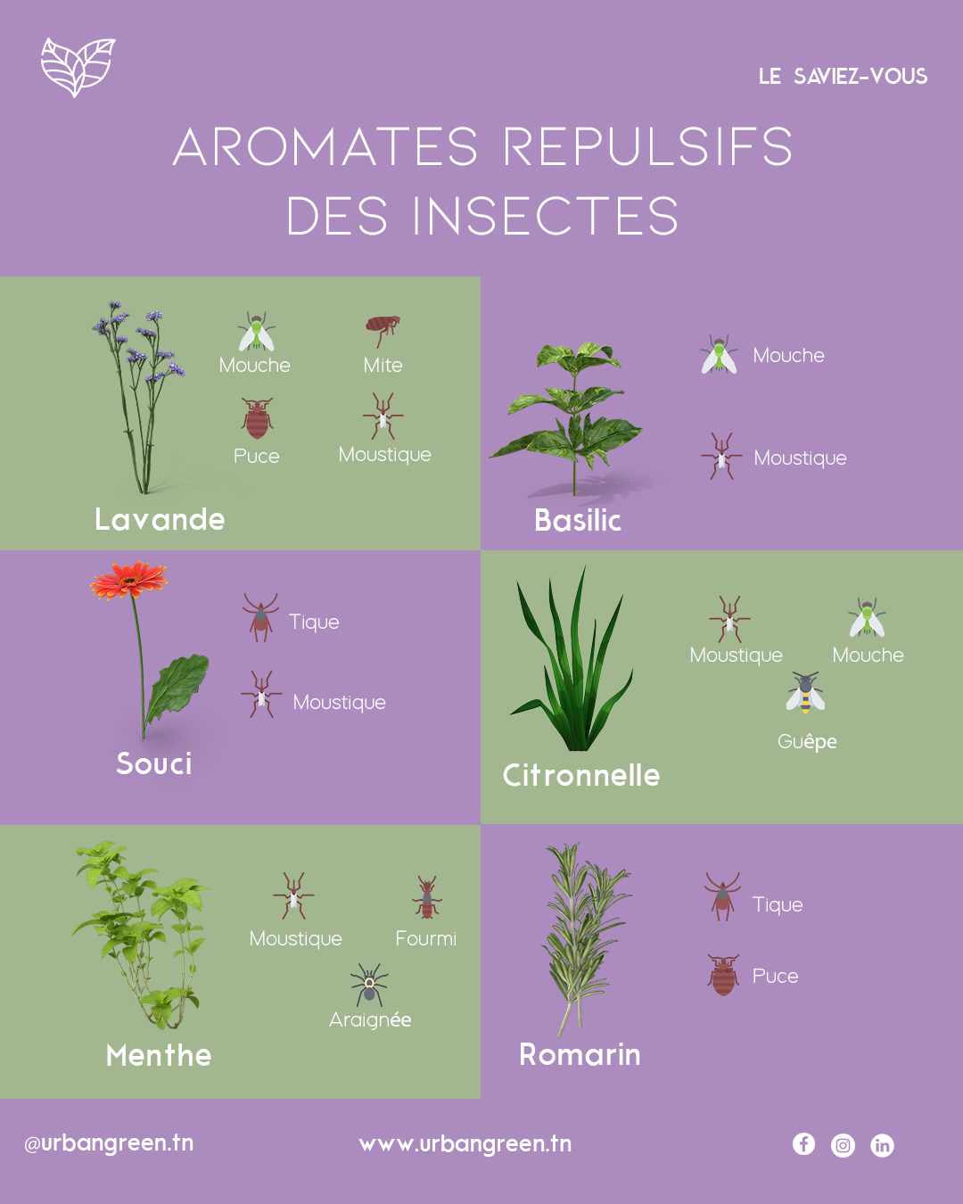 Aromates