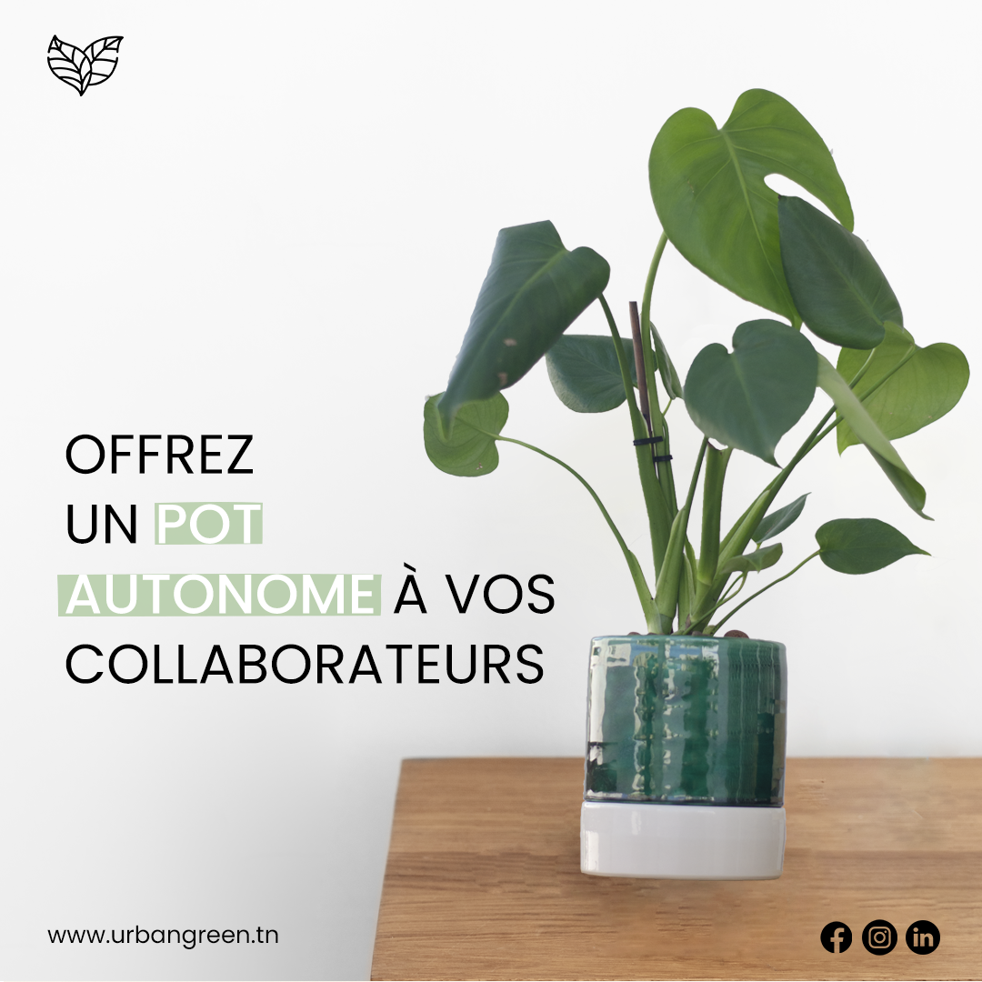Post LinkedIn produit