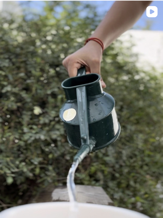 Reel Urban Green — Lancement pot