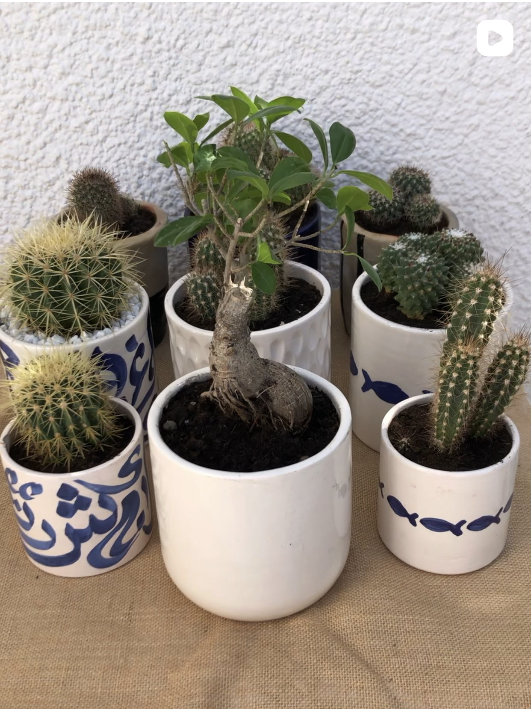 Reel Urban Green — Plantes en pot